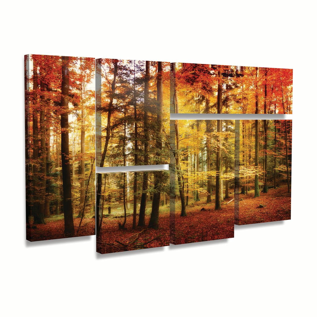 Trademark Fine Art 'Brilliant Fall Color' Canvas Art by Philippe Sainte-Laudy