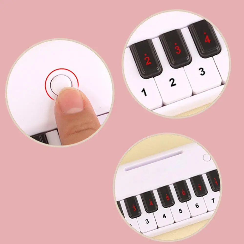 Mini Piano Keyboard Toys Musical Instruments with Lights for Toddlers 1-3 Years Old Birthday Gifts(Black)