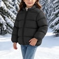 thumbnail image 6 of Kids' Stand Collar Zip Puffer Jacket, Bear Applique On the Back and Padded Warm Construction, Side Pockets, Kids Winter Outerwear, 1‑8 Years, Toddler Jacket Black 1-2 Years, 6 of 7