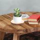 thumbnail image 3 of 2 soportes de madera para plantas, plato redondo para decoración del hogar, pedestal rústico multifuncional para centros de mesa de bodas y fiestas (8 cm, 11 cm), 3 of 8