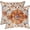 Carpet-bluebrown, variant on Boho Pillows Covers 18x18 Inch Set of 2 Bohemian Vintage Rust Carpet Pattern Throw Pillows Orange Blue Ethnic Floral Decorative Cotton Linen Cushion Cases for Outdoor Couch Sofa Living Room