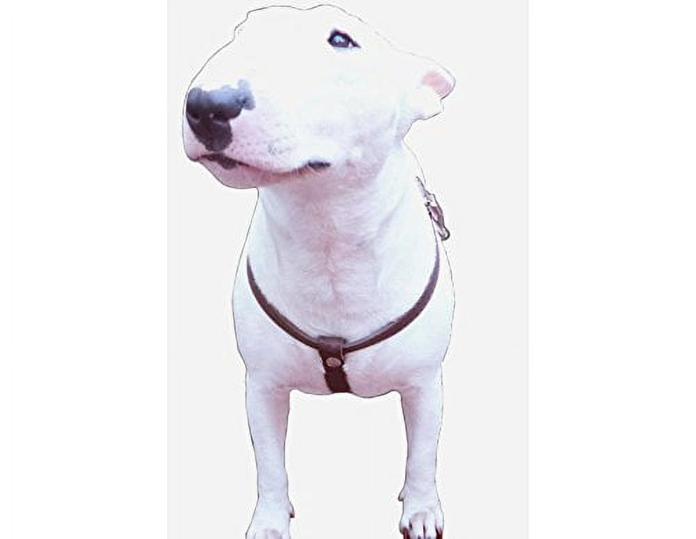High Quality Brown Leather Dog Harness Medium. 21"-25" Chest, 1" Wide Straps