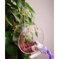 thumbnail image 1 of Acrylic Transparent Bird Feeder Bird Feeder Bird Cage (Circular), 1 of 5