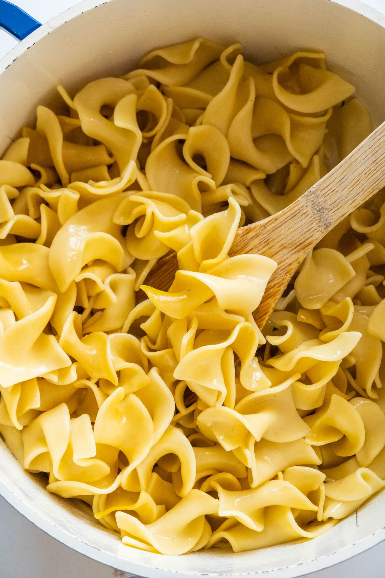 Dasher's Spice & Beans Wide Egg Noodle Pasta | 100% Durum Semolina Flour | Made in America | 5 lb.