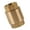 DN20 Medium, variant on DN20/DN15 Brass Inline Spring Check Valves Replacement Water Non Return Valves