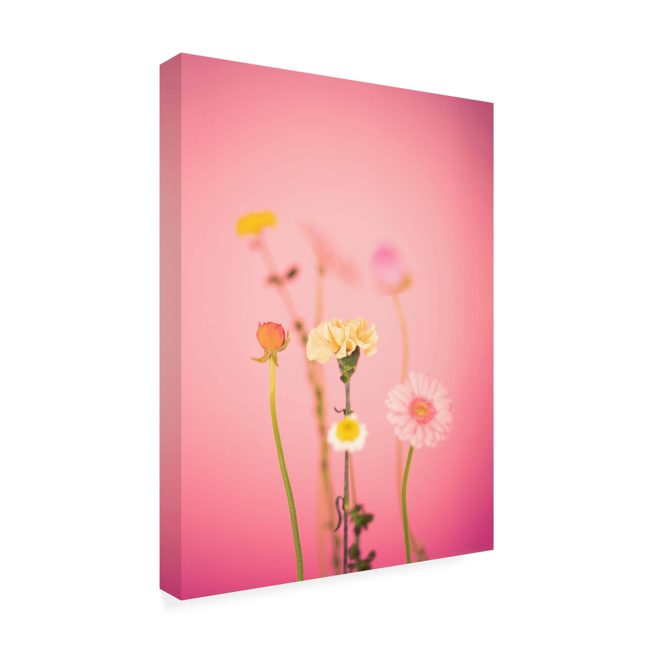 Canvas Wall Art - Julia Ramiro 'Desenfocar Copia' Wall Art for Living Room, Bedroom, or Office D?cor by Trademark Fine Art - 35 x 47 Inches