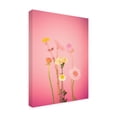 thumbnail image 4 of Canvas Wall Art - Julia Ramiro 'Desenfocar Copia' Wall Art for Living Room, Bedroom, or Office D?cor by Trademark Fine Art - 18 x 24 Inches, 4 of 4