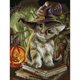 thumbnail image 1 of Hilo de bordar Wdftyju Eco-algodón completo 14CT DIY Cat Cross Stitch Craft, 1 of 9