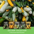 thumbnail image 4 of 5 Pack Zucchini & Squash Seed - Golden Round Grey Black Beauty Straight Neck Yellow Full Sun Annual, 4 of 10