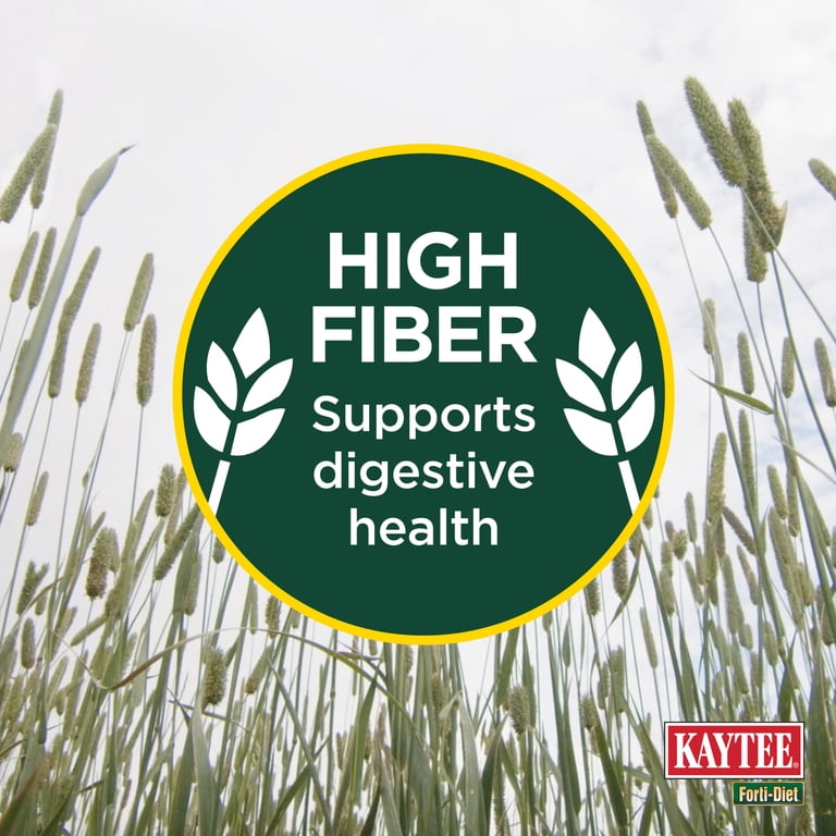 Kaytee Forti-Diet Timothy Hay, All Natural, 48oz photo 4