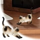 thumbnail image 2 of Colgante para gatos, caja para recoger pelo, acrílico transparente, organizador conmemorativo para mascotas, llavero con gancho para colgar, para recuerdos, 2 of 5