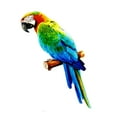 thumbnail image 4 of Colorful Artificial Parrots Figurines Miniature Pendant Hanging Bird Model Animal Sculpture Photo Props for Garden Wedding C, 4 of 8