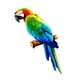 thumbnail image 4 of Escultura de loros artificiales Colco Estatua de loro estilo c, 4 of 8