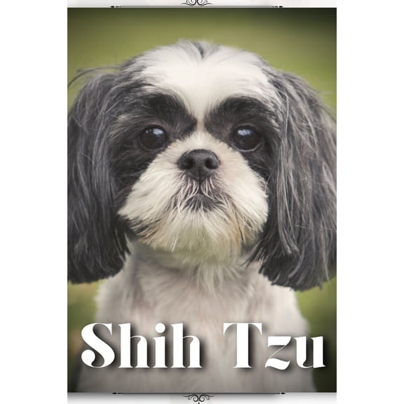 Shih Tzu: Dog breed overview and guide (Paperback)