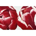 thumbnail image 2 of Poelstra-Holzhaus, Yvonne 14x11 Black Ornate Wood Framed with Double Matting Museum Art Print Titled - Together, 2 of 4