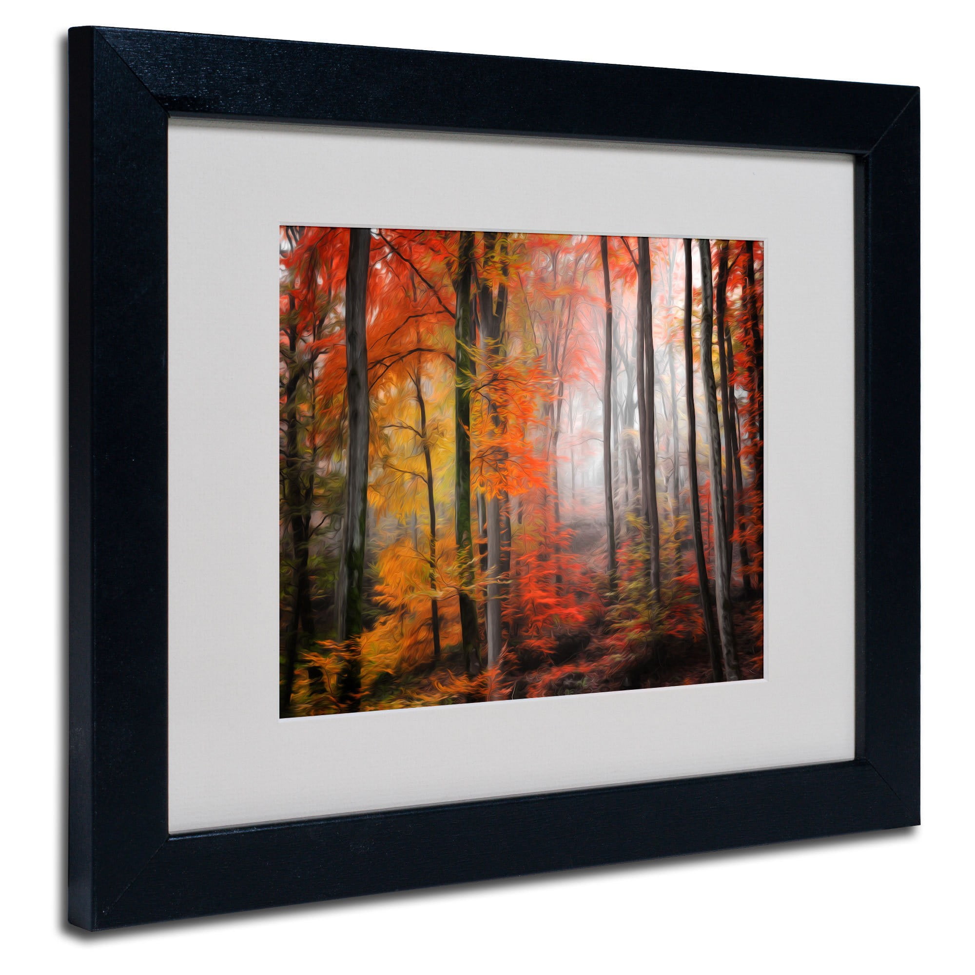 Trademark Fine Art "Wildly Red" Canvas Art by Philippe Sainte-Laudy, Wood Frame