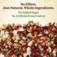 thumbnail image 3 of czcpp-Food From The Wild Treat Medley Hamster / Gerbille, 3 of 4