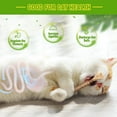 thumbnail image 3 of Juguete para gatos GBSYU, palitos masticables de silvervine, 3 unidades, para gatos de interior, 3 of 7