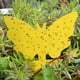 thumbnail image 2 of 50 Pcs Yellow Sticky Fly S Plug-in Fly Sticker Fly Plant, 2 of 5