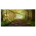 thumbnail image 2 of Suns Peeks into Forest - Landscape Photography Canvas Print, 2 of 3