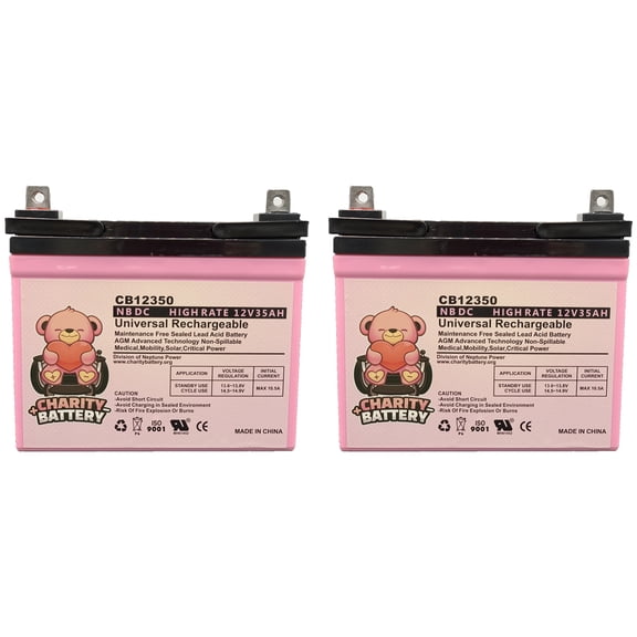 Sears 16481-16482 12V 35Ah SLA Battery by Charity Battery - 2 pack