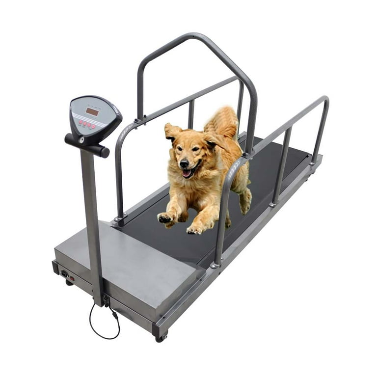 Techtongda Dog Proform Treadmill Pet Exercise Equipment for Canine Running 110V
