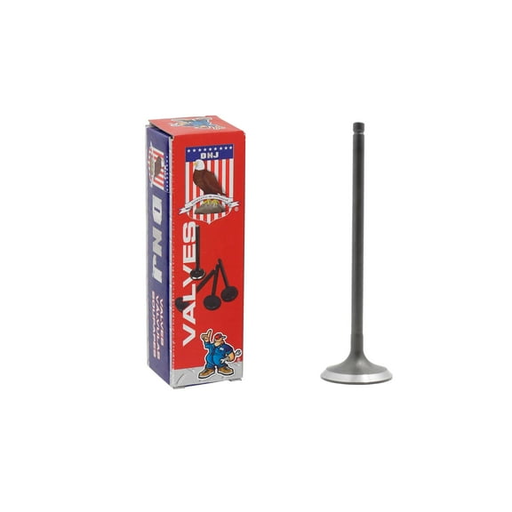 DNJ IV282 Intake Valve Fits Cars & Trucks 91-04 Acura Legend RL 3.2L 3.5L V6 SOHC 24v