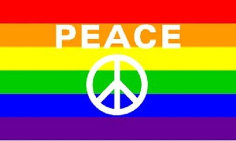 TrendyLuz Flags Marijuana Leaf Weed Rainbow Gay Lesbian Pride USA 3x5 Feet Flag by