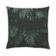 thumbnail image 2 of Ahgly Color Focus Green Company Coussin d'Intérieur, 18 Pouces par 18 Pouces, 2 of 6