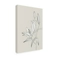 thumbnail image 4 of Trademark Fine Art Rosana Laiz Blursbyai Line art lillies in beige Canvas Wall Art, 4 of 4