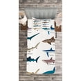 thumbnail image 3 of Ambesonne Fish Quilted Bedspread Set 2 Pcs, Cartoon Shark Types Wild, Twin Size, Multicolor, 3 of 3