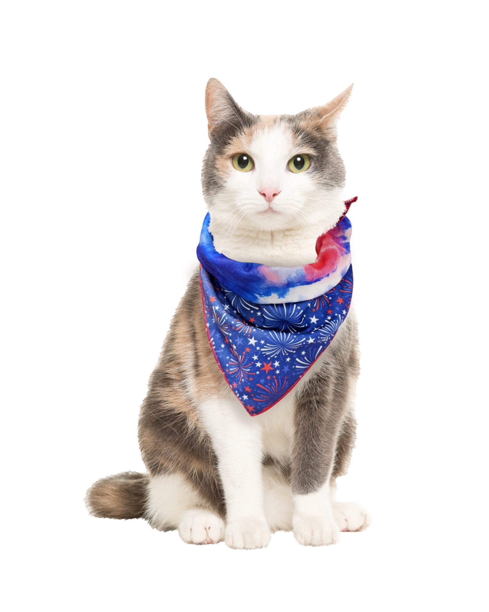 Vibrant Life 4th of July Reversible Pet Bandana, Fireworks/Tie-Dye, Medium/Large