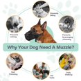 thumbnail image 3 of SUTENGDA Dog Muzzle for Large Medium Small Dogs  Mesh Muzzle for Dog to Prevent Biting Chewing Licking Eating  Soft Dog Muzzle with Front Opening Design for Drinking Panting (Black  L), 3 of 8