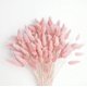 thumbnail image 4 of Pampas Grass 17 pulgadas Pampas Grass rosa Pampas Grass decoración boho boda, 4 of 7