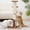 Brown, variant on Cat Scratching Post 34 Inch Tall Heavy Duty Sisal Scratcher with Interactive Track Mouse Toy Condo Top Jingle Balls for Indoor Kittens,Grey