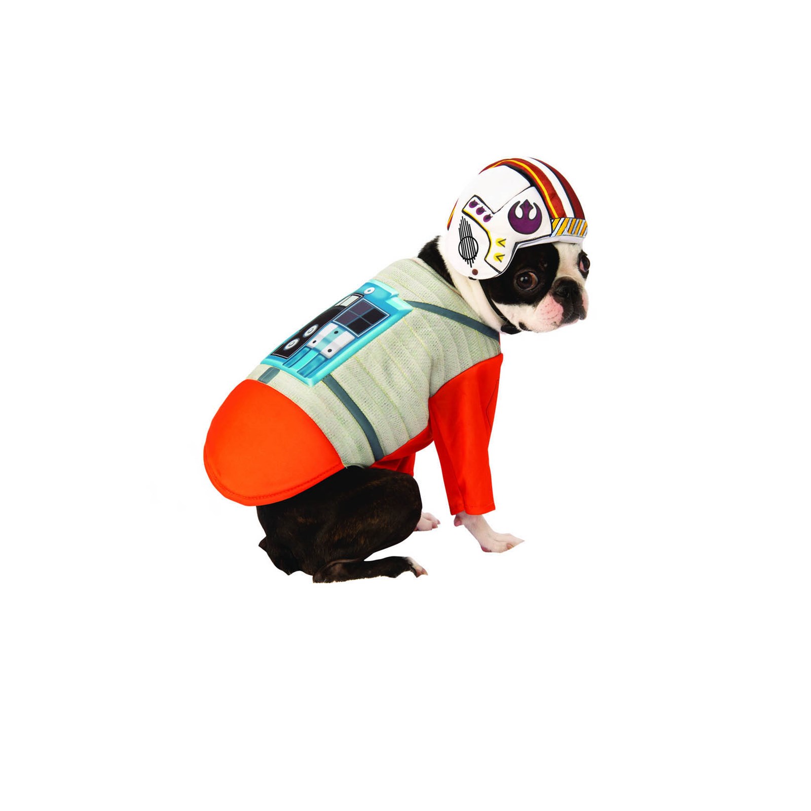 mega-man-rush-dog-costume-ubicaciondepersonas-cdmx-gob-mx