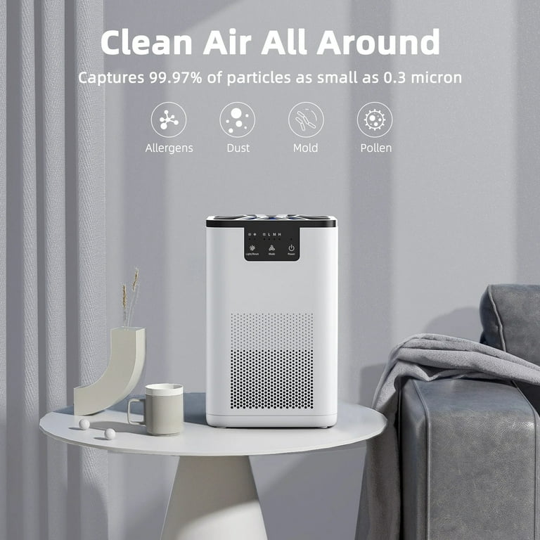ALROCKET Air Purifier, with HEPA Filter for Home, Remove 99.9% Smoke Dust  Allergies for 300 SQ.ft - Walmart.com