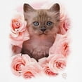 thumbnail image 3 of CafePress - Cute Kitten In Pink Roses Sweatshirt - Crew Neck Sweatshirt, 3 of 4