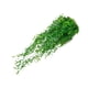 thumbnail image 3 of Bewildely Fondo de pared artificial flores colgantes planta ratán falso decoración DIY regalos de inauguración hogar patio interior Decoración Corto Verde 85CM Bewildely HA065697-09, 3 of 6