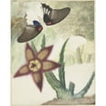 thumbnail image 2 of Hermanus de Wit 20x24 Gold Ornate Framed and Double Matted Museum Art Print Titled - Two Butterflies and a Five-Leaf Yellow-Purple Flower (1774), 2 of 4