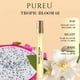 thumbnail image 3 of PERFUMES PUREU con Feromonas para Mujeres y Hombres Ámbar Vainilla Jazmín Perfumes con Aceites de Feromonas de Larga Duración para Hombre Regalo para Esposa. Tamaño de Viaje 12 ml - Tropic Bloom 68, 3 of 5