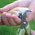 thumbnail image 2 of Cortaúñas profesional Pamolo de acero inoxidable para perros mediano/grande herramientas de aseo, 2 of 4