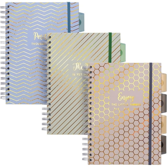 Pukka Pad Haze B5 Notebook – Pack of 3 Wirebound Notebooks with 5 Repositionable Dividers with Storage Pockets and Tabs for Organisation and Personalisation – 200 Pages, 100 Sheets of 80GSM Paper