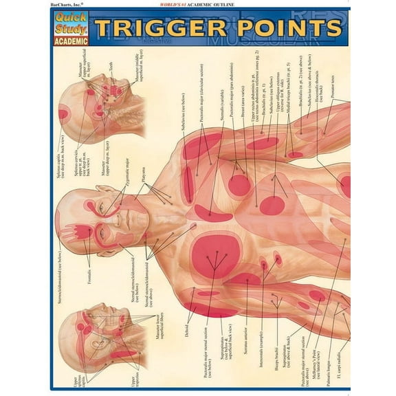Trigger Points (Other)