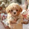 thumbnail image 2 of Robot Dog - Robot Puppy, Nico My Realistic Robots Puppy, Robots Dogs That Acts Like a Real Dog Realistic, Electronic Interactive Plush Puppys Toy (A), 2 of 8
