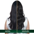 thumbnail image 4 of Tinte para cabello Nutrisse Oleos sin amoniaco 1.0 negro, 4 of 6