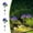 Multicolor C, variant on Usbinx Life Solar Flower Stake Lights Outdoor Hydrangea Garden Lights Warm White 20 LED with Flashing Mode Waterproof Yard Pathway Decor Set of 2 Automatic Dusk On