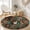 Color 7, variant on SPXUBZ Velvet Round Area Rug Exotic Wild Leopard Cheetah Skin Print Circular Floor Mat Soft Non-Slip Animal Texture Safari Decor Carpet for Bedroom Throw Rug