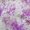 Purple, variant on oneOone Polyester Spandex Black Fabric Watercolor Dress Material Fabric Print Fabric By The Yard 56 Inch Wide-WZ