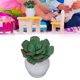 thumbnail image 5 of Accesorios para plantas de casa de muecas, plantas en macetas en miniatura estilo lindo decorativo vivo para manualidades ANGGREK DC2013, 5 of 8